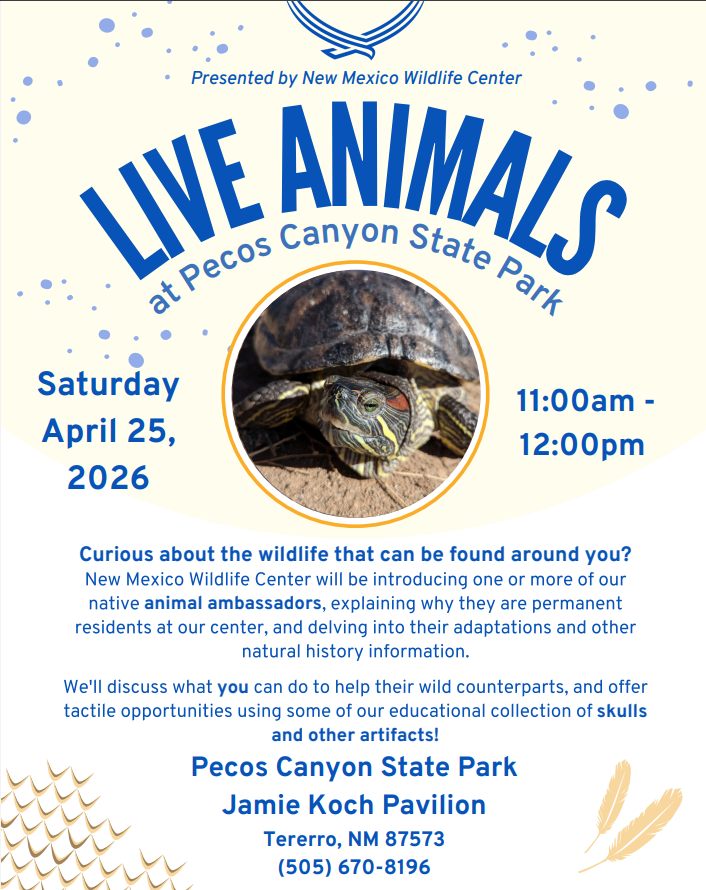 Live Animals at Pecos Canyon 