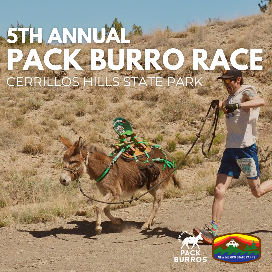 Pack Burro Race & Art in the Park