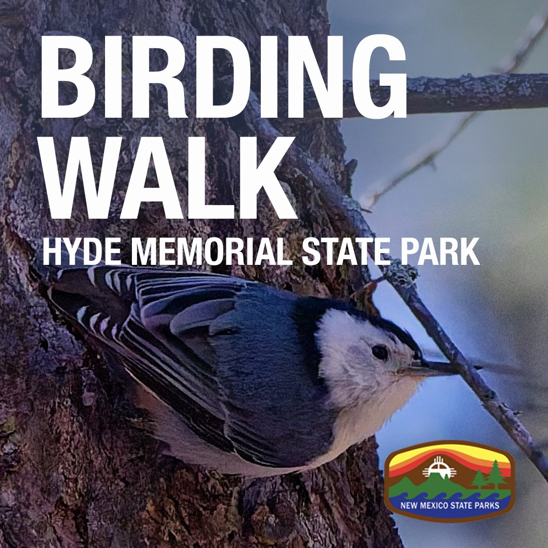 Birding Walk