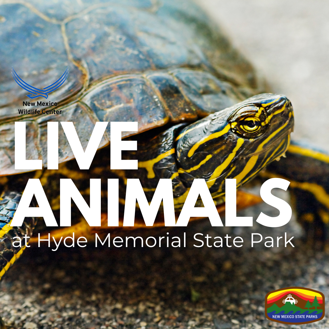 Live Animals - Wildlife Program