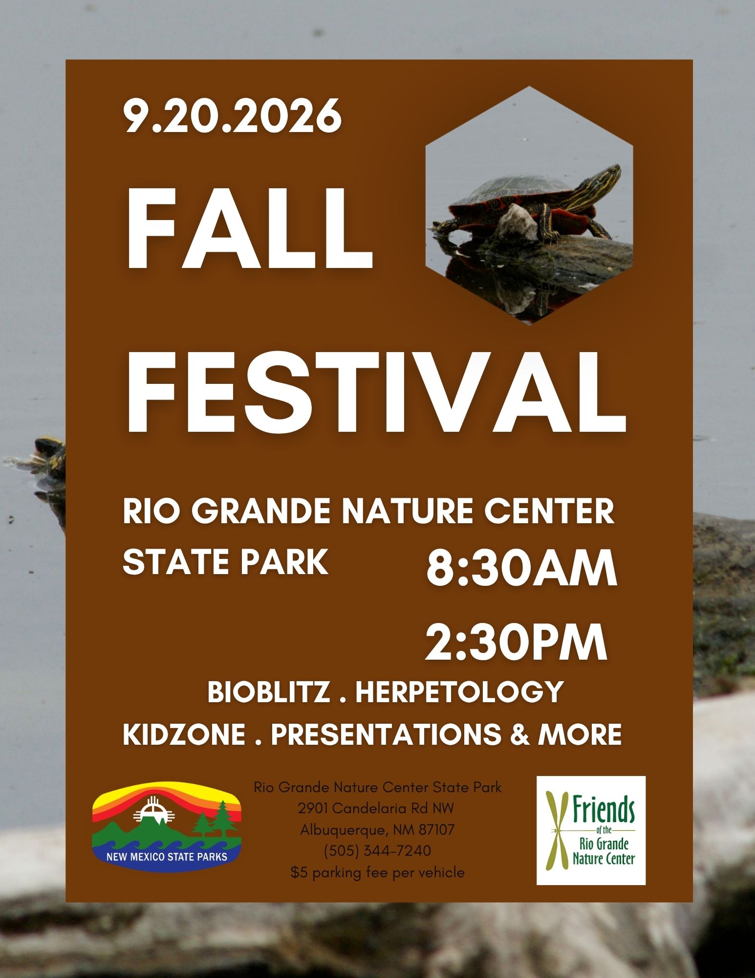 Fall Festival